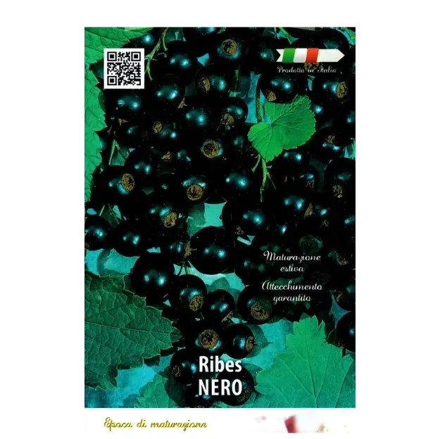Etiketa Sadike ribeza NERO