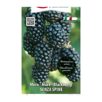 Sadika robide SENZA SPINE Etiketa Sadike robide SENZA SPINE