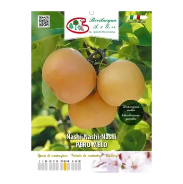 Sadika Nashija PERO MELO Etiketa Sadike Nashija PERO MELO