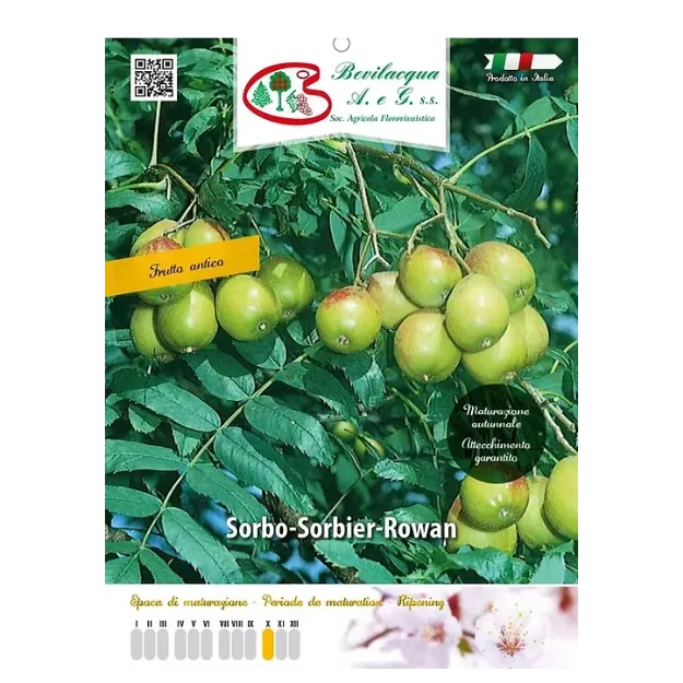 Etiketa Sadike  Sorbo