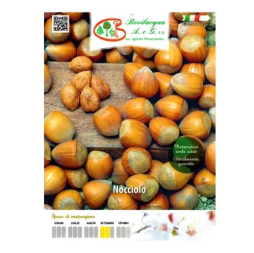 Sadika leske Etiketa Sadike leske