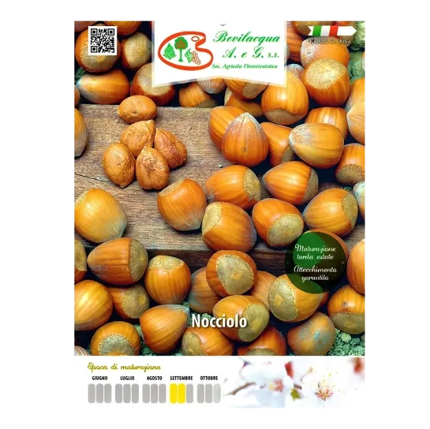 Etiketa Sadike leske