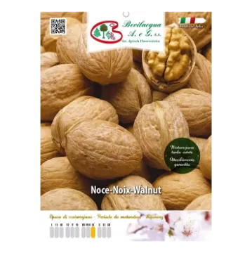 Sadika oreha Etiketa Sadike oreha