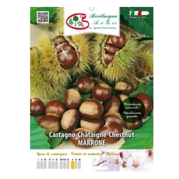 Sadika kostanja SAN MAURO Etiketa Sadike kostanja SAN MAURO