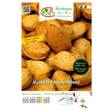 Sadika mandljevca Etiketa Sadike mandljevca