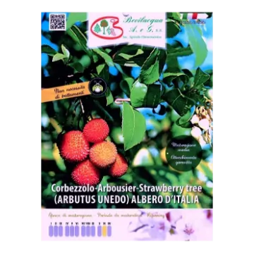 Sadika CORBEZZOLO Etiketa Sadike CORBEZZOLO