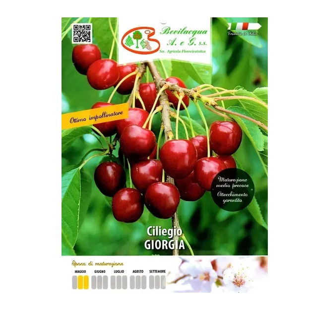 Etiketa Sadike češnje GIORGIA
