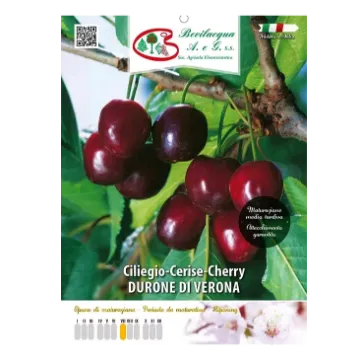 Sadika češnje Durone di Verona Etiketa Sadike češnje Durone di Verona