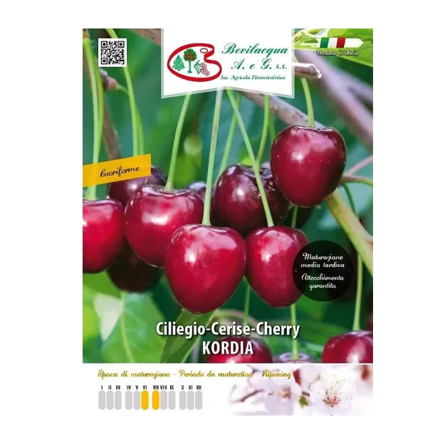 Etiketa Sadike češnje KORDIA