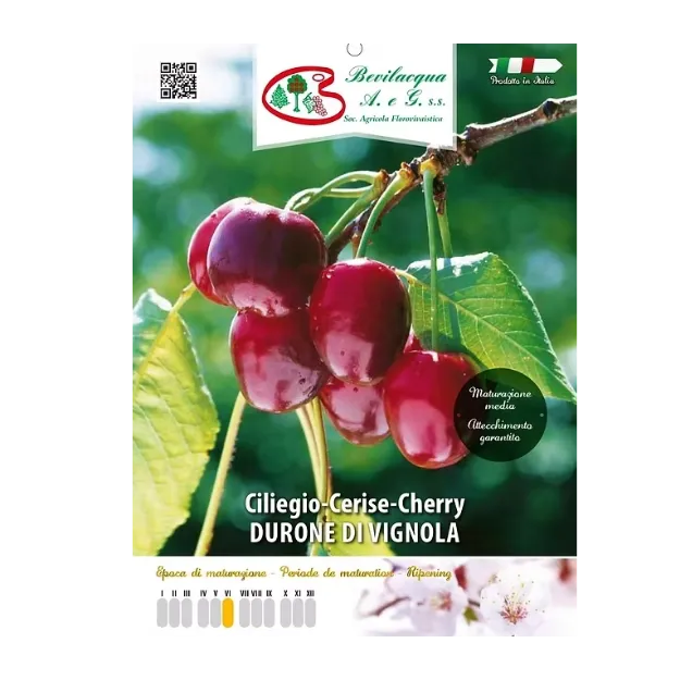 Etiketa Sadike češnje DURONE DI VIGNOLA