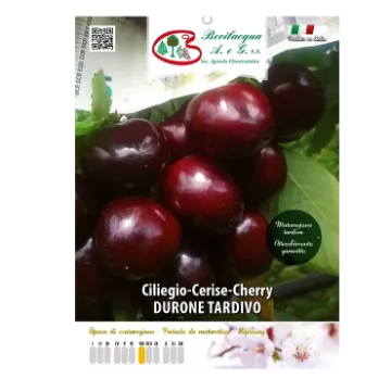 Sadika češnje Durone Tardivo Etiketa Sadike češnje Durone Tardivo