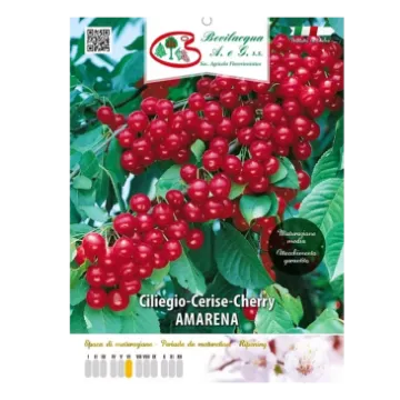 Sadika višnje AMARENA Etiketa Sadike višnje AMARENA