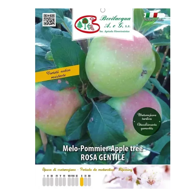 Etiketa Sadike jablane ROSA GENTILE