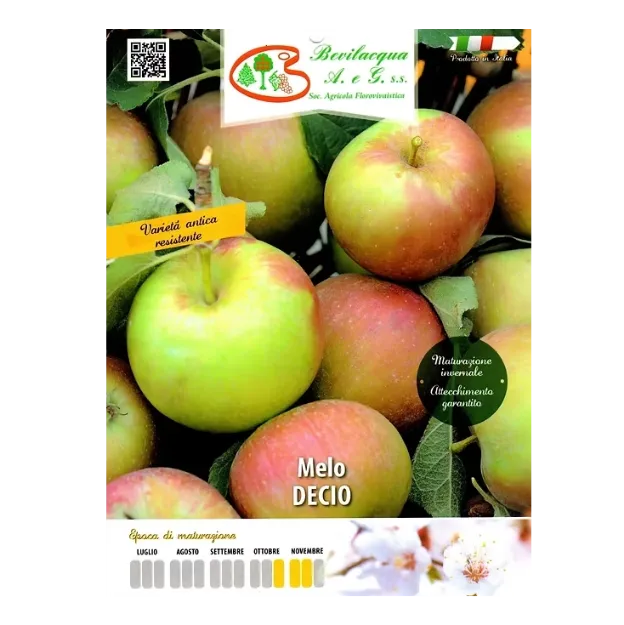 Etiketa Sadike jablane DECIO