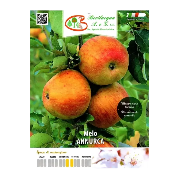 Etiketa Sadike jablane Annurca