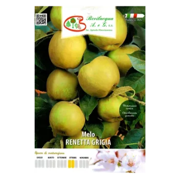 Sadika jablane RENETTA GRIGIA Etiketa Sadike jablane RENETTA GRIGIA