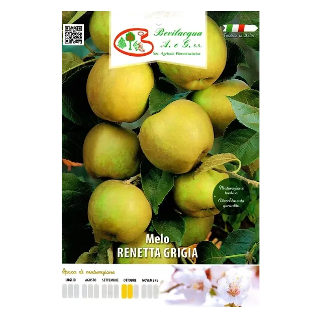 Etiketa Sadike jablane RENETTA GRIGIA