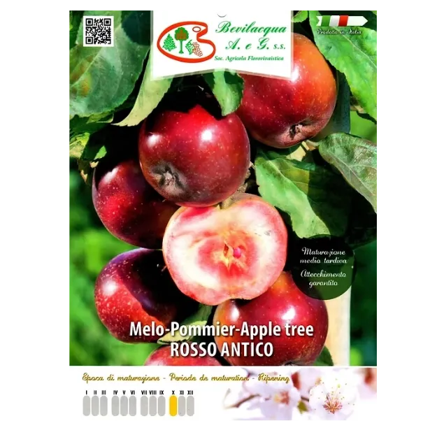 Etiketa Sadike jablane Rosso Antico