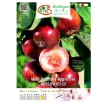 Etiketa Sadike jablane Rosso Antico