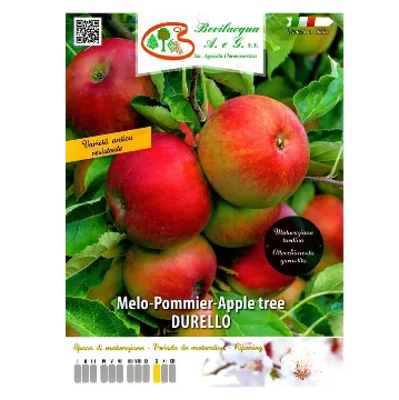 Sadika jablane Durello Etiketa Sadike jablane Durello