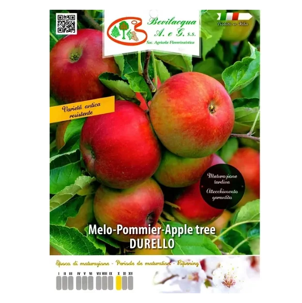 Etiketa Sadike jablane Durello