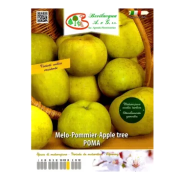 Sadika jablane POMA Etiketa Sadike jablane POMA