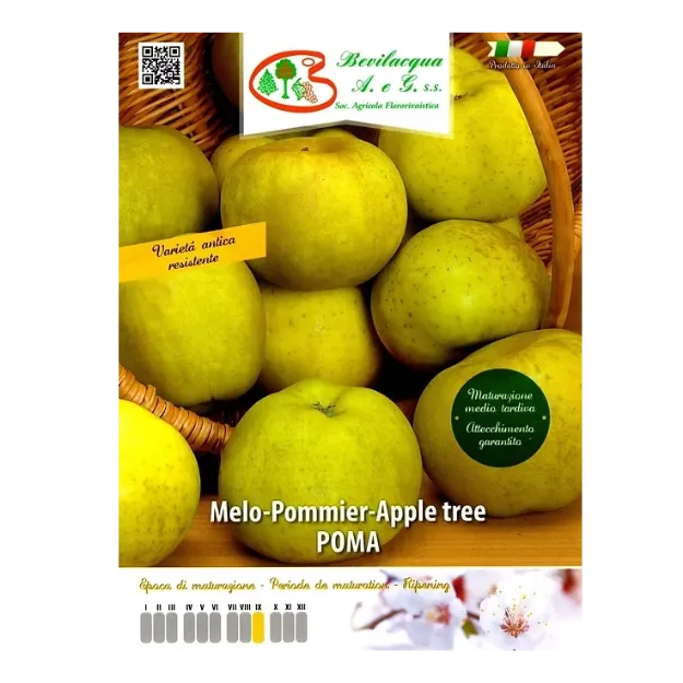 Etiketa Sadike jablane POMA