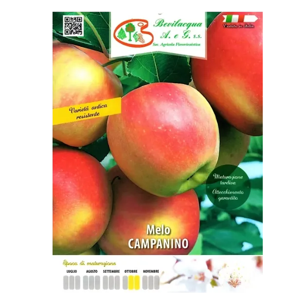 Etiketa Sadike jablane Campanino