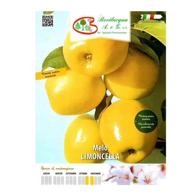 Etiketa Sadike jablane Limoncino