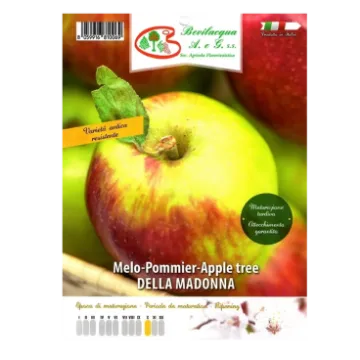 Sadika jablane DELLA MADONNA Etiketa Sadike jablane DELLA MADONNA