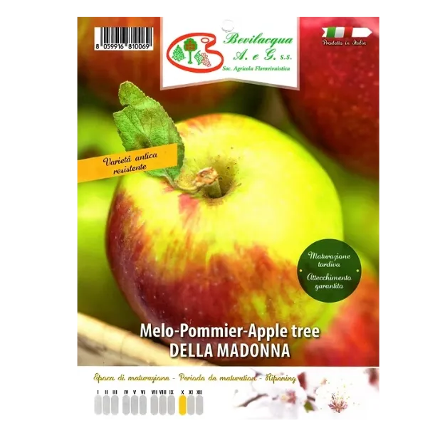 Etiketa Sadike jablane DELLA MADONNA