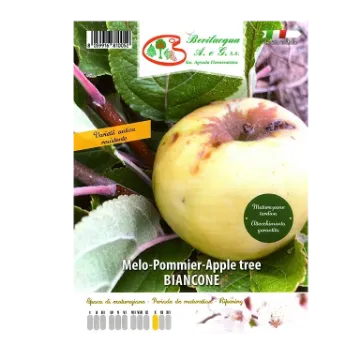 Sadika jablane BIANCONE Etiketa Sadike jablane BIANCONE