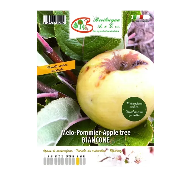 Etiketa Sadike jablane BIANCONE