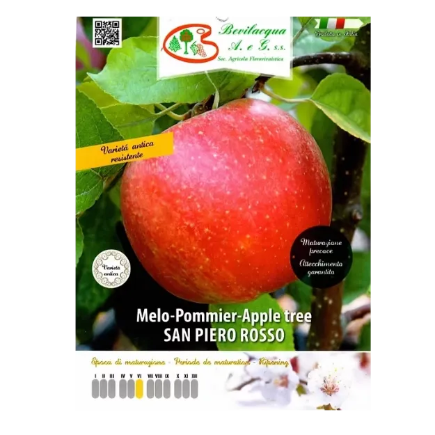 Etiketa Sadike jablane ROSSO SAN PIERO