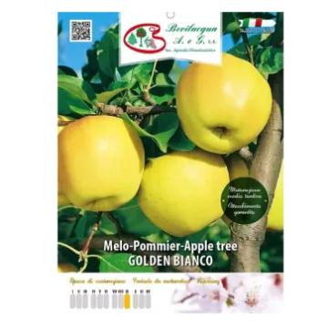 Sadika jablane Golden Bianco Etiketa Sadike jablane Golden Bianco