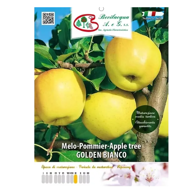 Etiketa Sadike jablane Golden Bianco