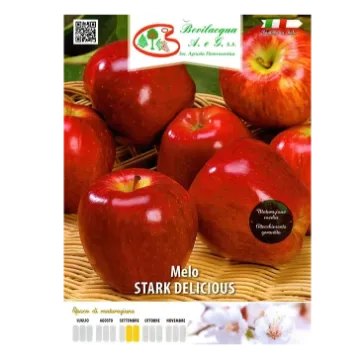 Sadika jablane Stark Delicious Etiketa Sadike jablane Stark Delicious