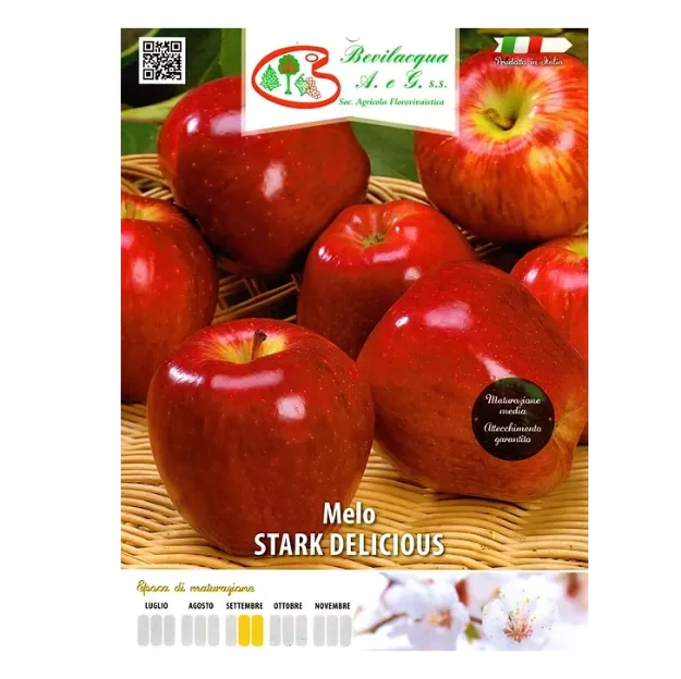 Etiketa Sadike jablane Stark Delicious