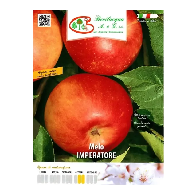 Etiketa Sadika jablane IMPERATORE