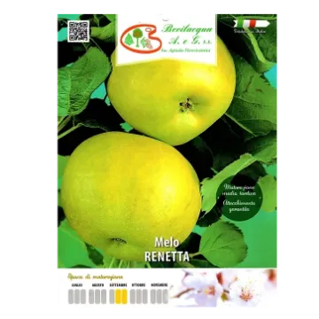 Sadika jablane Renetta Etiketa Sadike jablane Renetta