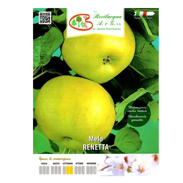 Etiketa Sadike jablane Renetta