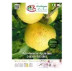 Etiketa sadike jablane Golden Ruggine