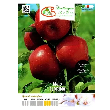 Sadika jablane FLORINA Etiketa Sadike jablane FLORINA