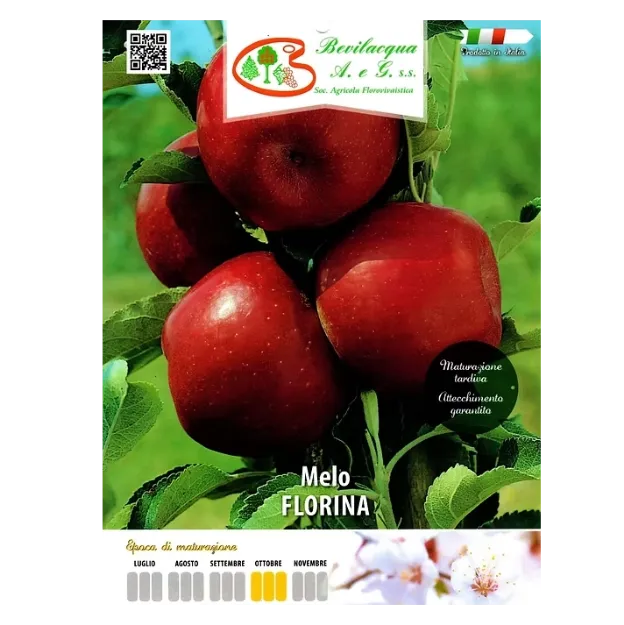 Etiketa Sadike jablane FLORINA