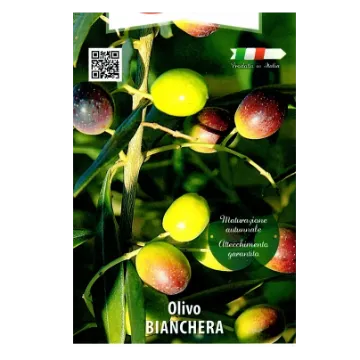 Sadika oljke BIANCHERA lonec 22 x 22 cm Etiketa Sadika oljke BIANCHERA lonec 22 x 22 cm