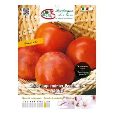 Sadika kakija RAGNO Etiketa Sadika kakija RAGNO