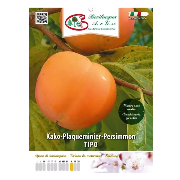 Etiketa Sadika kakija TIPO