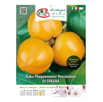 Sadika kakija DI SPAGNA Etiketa Sadika kakija DI SPAGNA