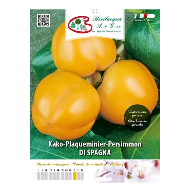 Etiketa Sadika kakija DI SPAGNA