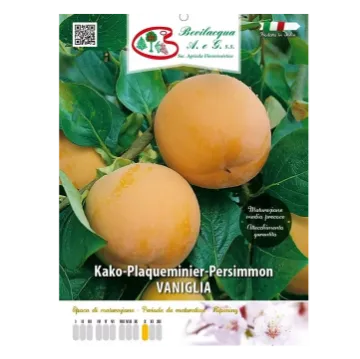 Sadika kakija VANIGLIA Etiketa Sadika kakija VANIGLIA